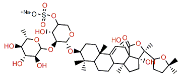 Holothurin B